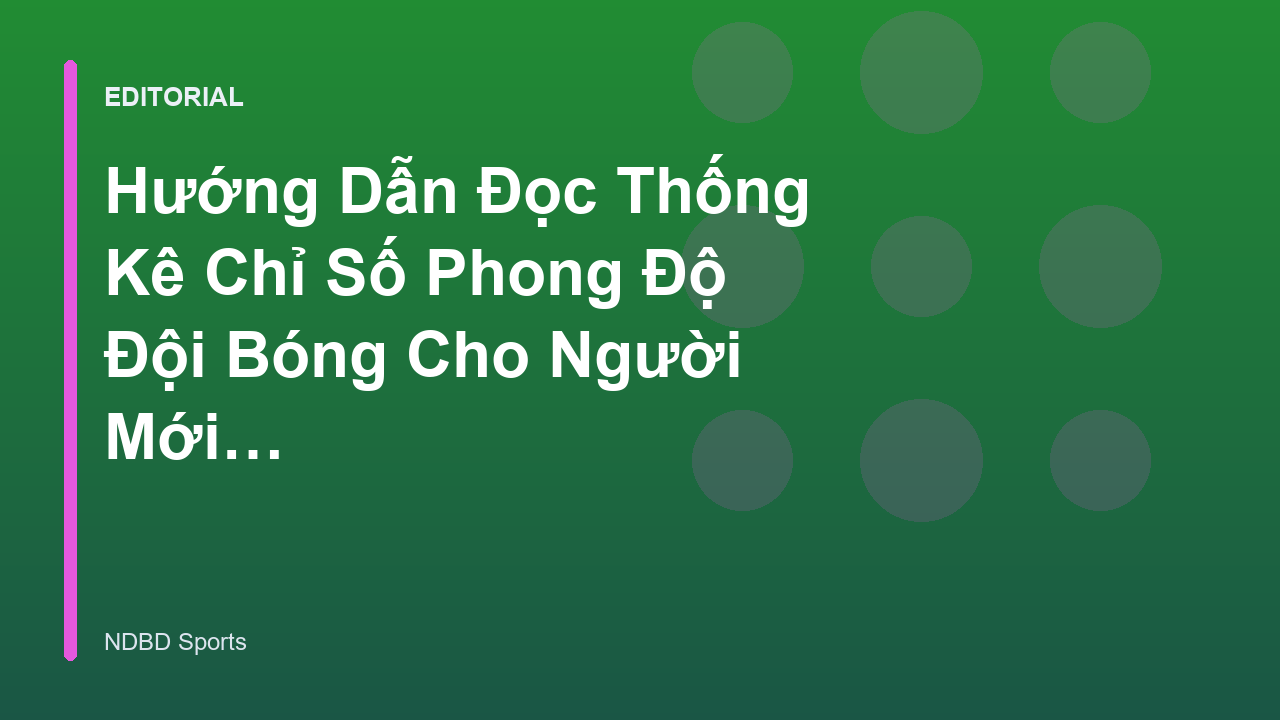 Người hâm mộ đang phân tích các chỉ số bóng đá trên máy tính